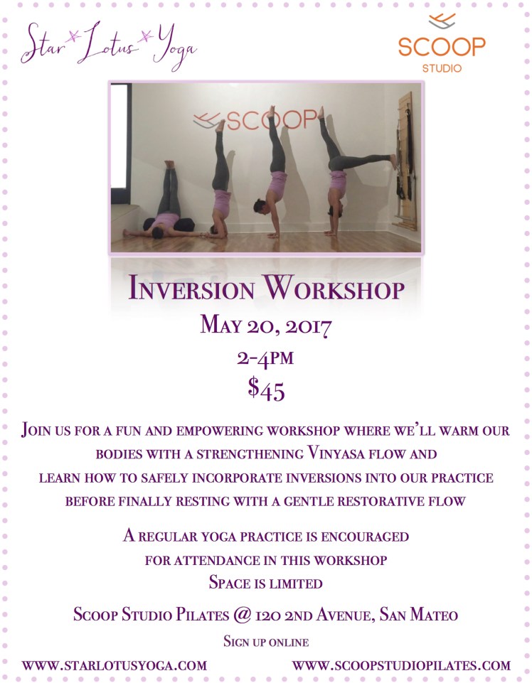 Scoop Inversion Workshop jpeg